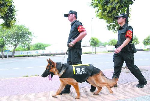 防控"两抢一盗"巴中开启警犬巡逻模式