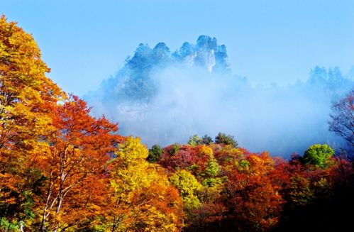 记者从推介会上获悉,黄石旅游区开发建设项目,光雾山国际旅游度假区